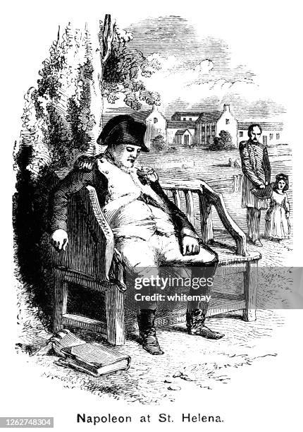 napoleon bonaparte on st helena - guard of napoleon on st helena stock illustrations