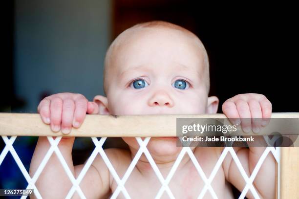 baby looking over baby gate - baby gate stock pictures, royalty-free photos & images