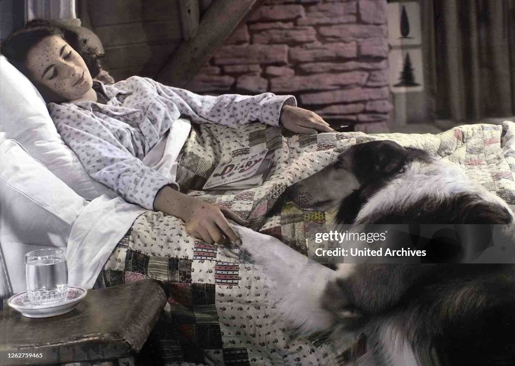 Held Auf Vier Pfoten, Courage Of Lassie
