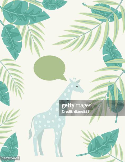 cute baby jgiraffe ungle animals frame - safari animals stock illustrations