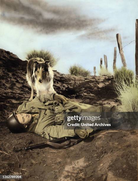 Kino. Courage of Lassie, aka Held auf vier Pfoten, USA Regie: Fred M. Wilcox, Darsteller: Tom Drake.