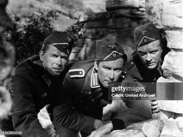 Raoul Rag 362 Arthur Walsh Photos & High Res Pictures - Getty Images