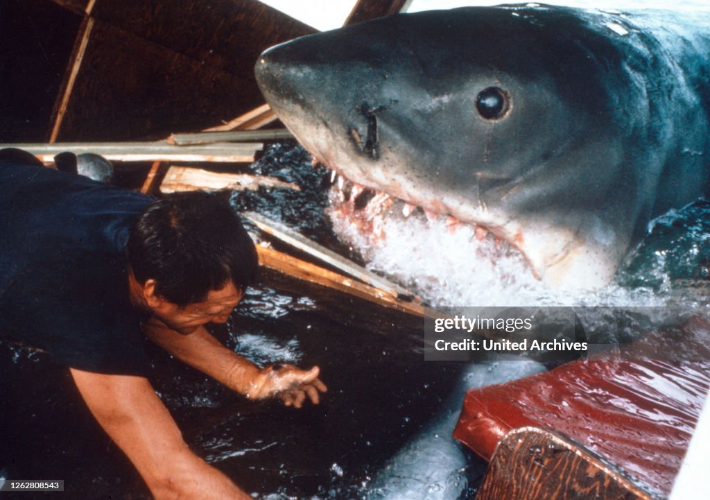 Jaws