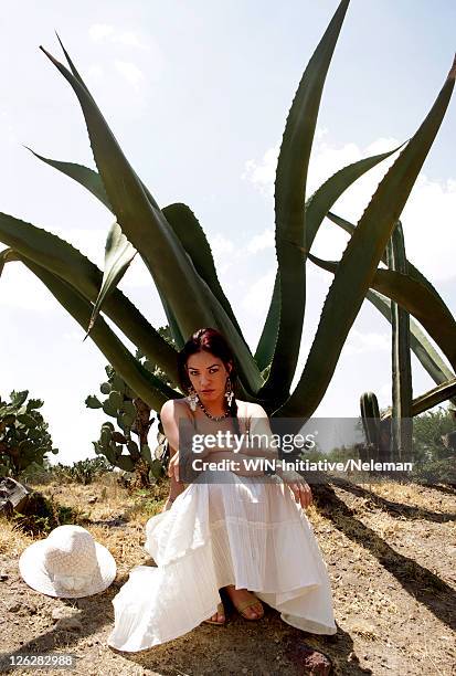 mexico, teotihuacan, young woman sitting under maguey tree - frau schön kaktus stock-fotos und bilder