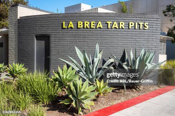 View of the La Brea Tar Pits entrance on July 30, 2020 in Los Angeles, California.