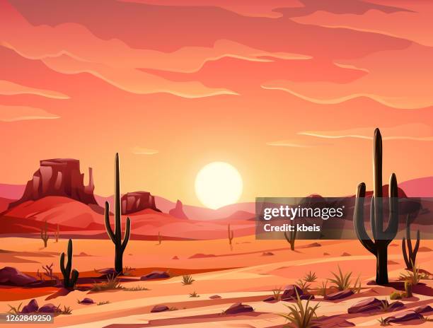 beautiful desert sunset - western landscape stock illustrations
