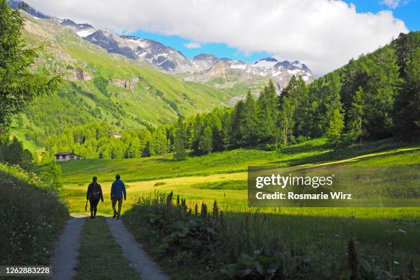 young couple on romantic mountain trail in fex valley - engadin stockfoto's en -beelden