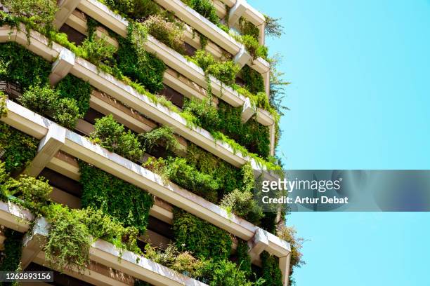 green building with vertical garden. - weelderige plantengroei stockfoto's en -beelden