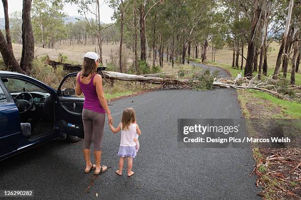 a woman and young girl outside their vehicle on the road that is blocked by a fallen tree - fallen tree stock pictures, royalty-free photos & images