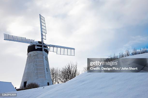 windmill in winter - tyne and wear stock pictures, royalty-free photos & images