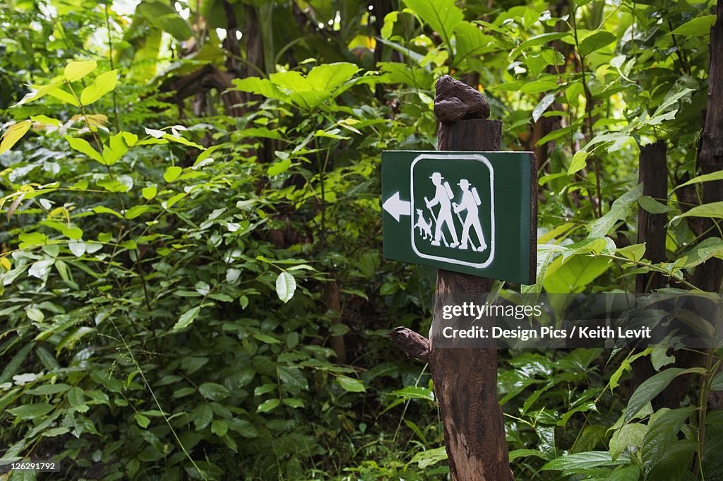 A hiking sign posted on a tree