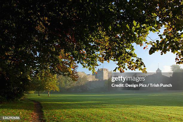 cahir castle - cahir stock pictures, royalty-free photos & images