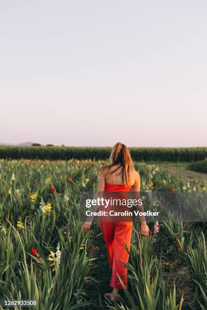 blond woman walking away through a flower field wearing an orange jumpsuit - gladiolus fotografías e imágenes de stock