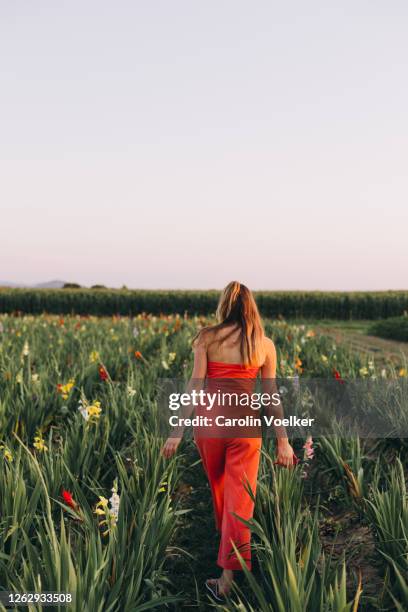 blond woman walking away through a flower field wearing an orange jumpsuit - gladiolus 個照片及圖片檔