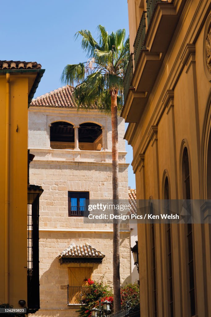Buenavista palace which houses the picasso museum