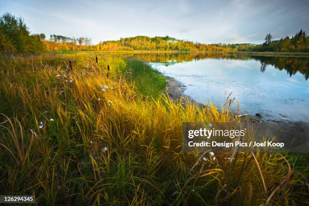 Edmonton Countryside 560 Edmonton Landscape Stock Photos, High-Res Pictures, and Images ...