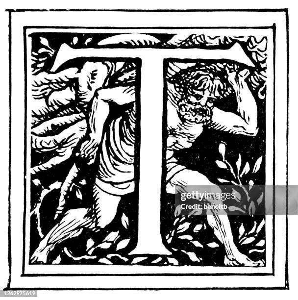 Scripted Letter T Illuminated Manuscript Letter T Photos and Premium High Res Pictures ...