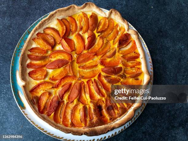apricot tart - tartes-et-tourtes-salées photos et images de collection