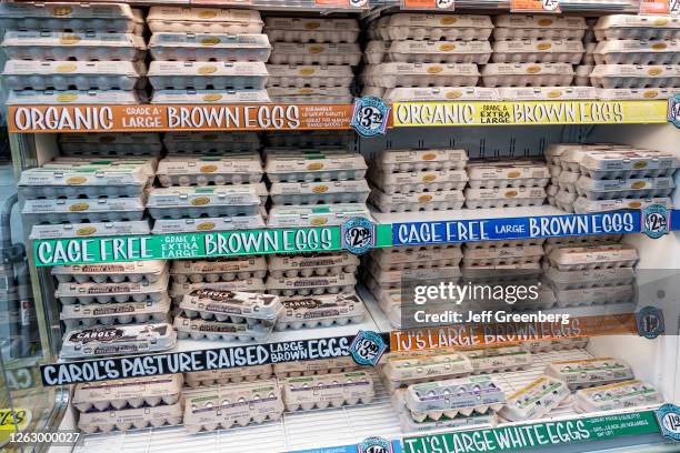 Florida, Miami Beach, Trader Joe's, grocery store, refrigerated egg aisle, organic, cage free, brown, pasture raised.