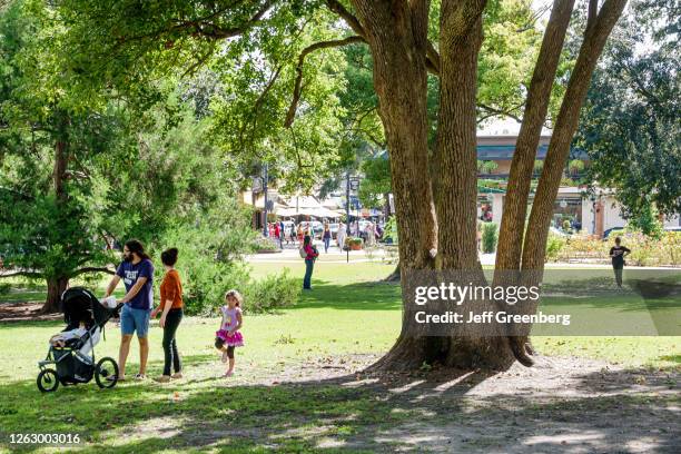 Florida, Orlando, Central Park, public urban green space with family under shade tree.