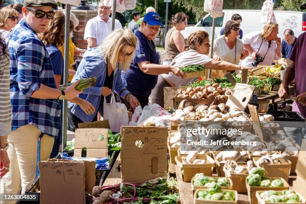 Florida, Orlando, Farmers' Market, busy produce stand.