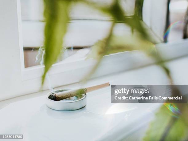 smoking spliff on a clean white surface against an open window - wildpflanze stock-fotos und bilder