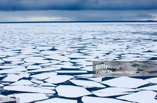 Broken pack ice, Brash Ice in Weddell Sea, Antarctic.