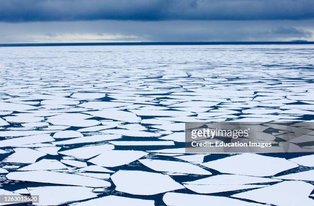 Broken pack ice, Brash Ice in Weddell Sea, Antarctic.