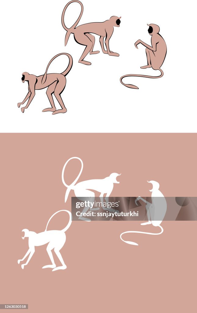 Langur