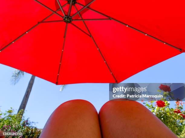 view from under a red umbrella - sunshade stock pictures, royalty-free photos & images