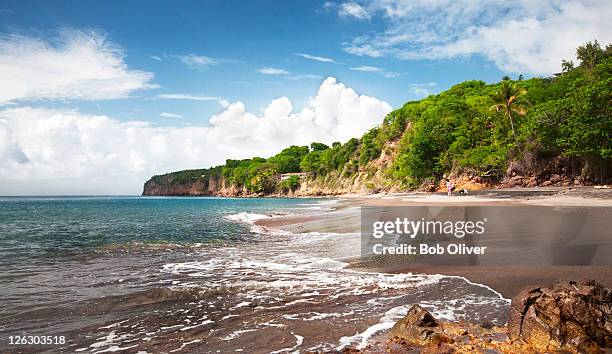 woodlands beach - montserrat stock pictures, royalty-free photos & images