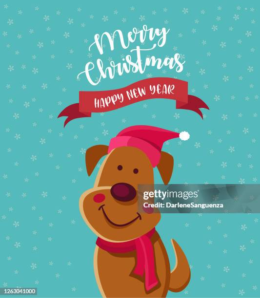 netter hund mit weihnachtsmann hut weihnachts-grußkarte. - charming stock-grafiken, -clipart, -cartoons und -symbole