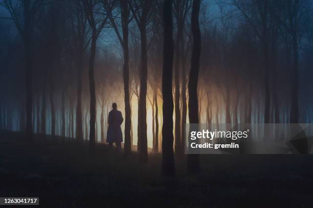 mysterious lights in the forest at night - spooky night stock pictures, royalty-free photos & images