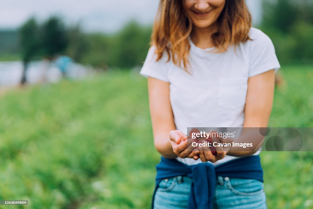 Woman is holding ripe red strawberries at a u-pick farm in Washington