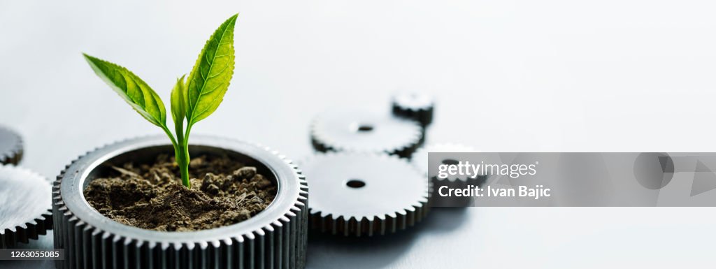Sustainable Development