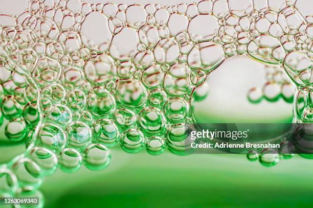 abundance of bubbles - dishwashing liquid stock pictures, royalty-free photos & images