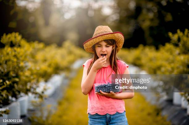 kaukasische süße mädchen essen frische heidelbeeren - blueberry girl stock-fotos und bilder