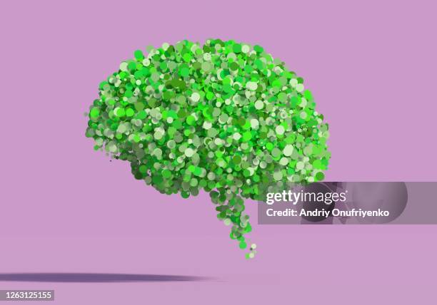 Green Python Brain Human Brain Structure Photos and Premium High Res Pictures - Getty Images