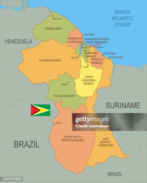 flat map of guyana with flag - guyana stock illustrations