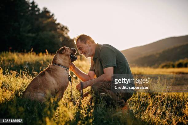 彼の犬を歩いている先輩の男 - animal friends ストックフォトと画像