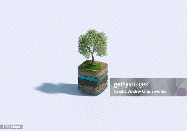 Tree Blocks Jpg Tree Blocks Photos and Premium High Res Pictures - Getty Images