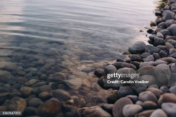 water reaching the shore of a pebbles beach in the afternoon light. - pebble stock pictures, royalty-free photos & images