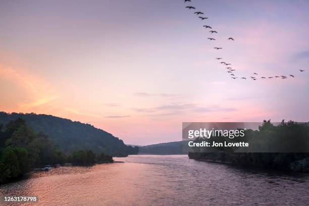 the delaware river looking towards new jersey from pennsylvania at sunset - pennsylvania stock-fotos und bilder