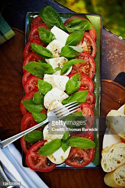 caprese salad with tomatoes, mozzarella and basil - caprese imagens e fotografias de stock