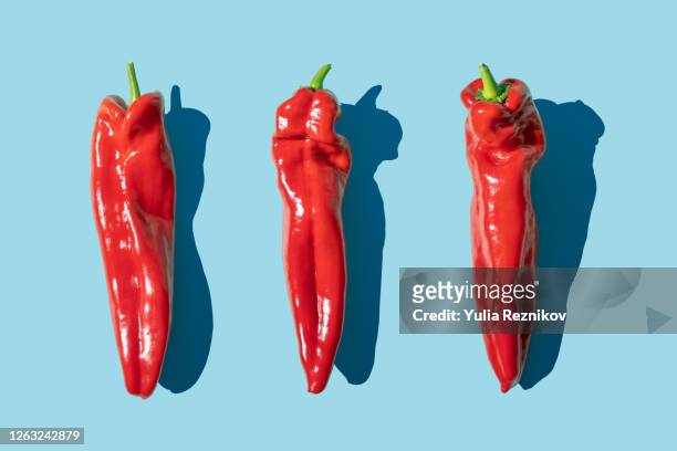sweet long red marconi peppers on the blue background - green chili pepper stock-fotos und bilder