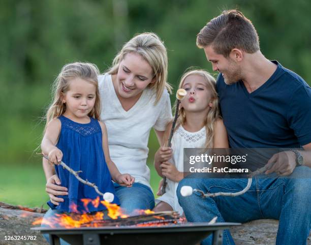 family campfire - marshmallows fire stock pictures, royalty-free photos & images