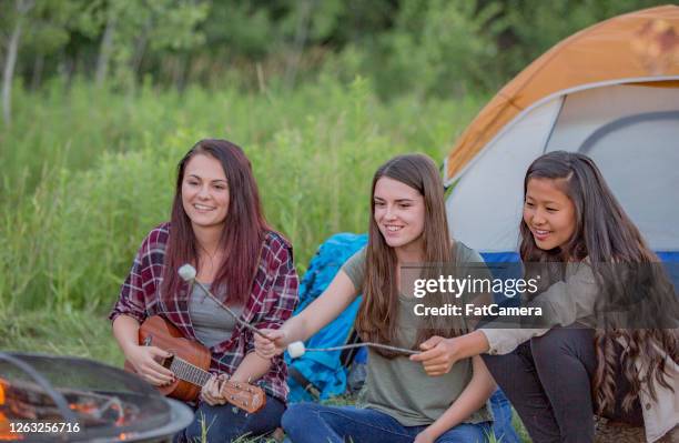 amigos acampando juntos - marshmallow fotografías e imágenes de stock