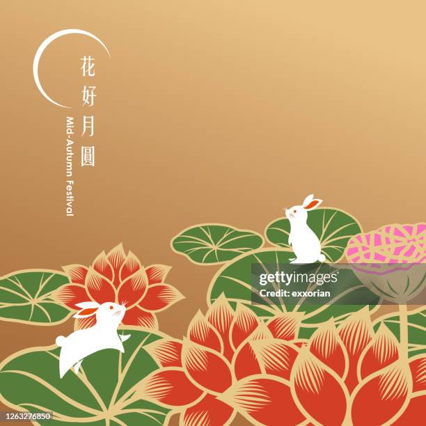 mid autumn lotus und kaninchen - lotuswurzel stock-grafiken, -clipart, -cartoons und -symbole