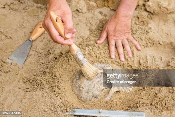 close-up of hands working on sand - archaeology stock pictures, royalty-free photos & images