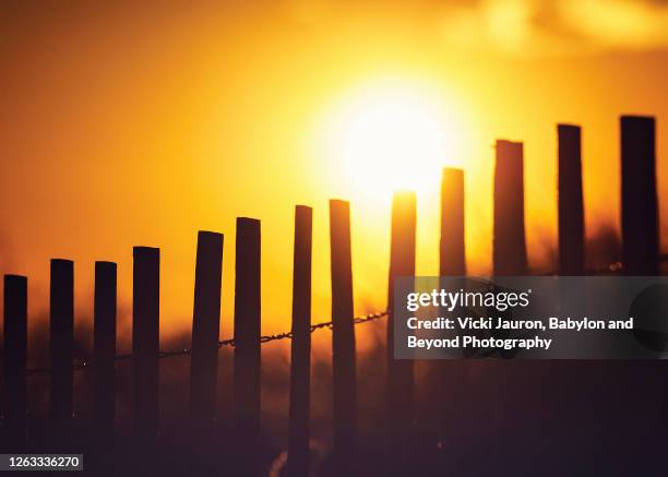 Sun Rising Over Fence Long Wooden Fence Photos and Premium High Res Pictures - Getty Images